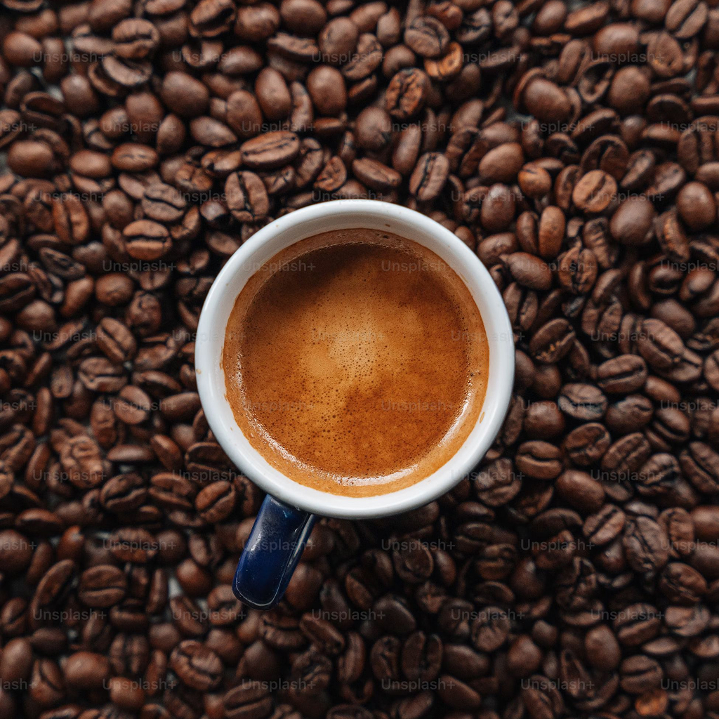 Dan%20Rose%20Restaurant